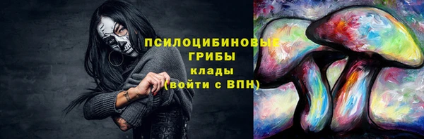 mdpv Дмитровск