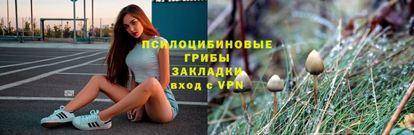 прущие крисы Армянск